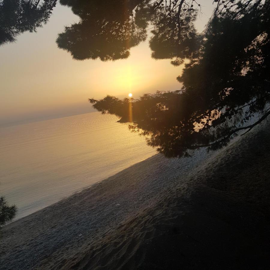 Lorena Luxury Apartment Makarska Extérieur photo